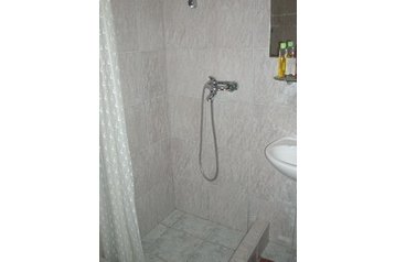 Сімейний пансіонат Slavonski Brod 1